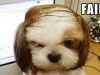 Comb-Over FAIL