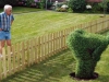 Bush Shot